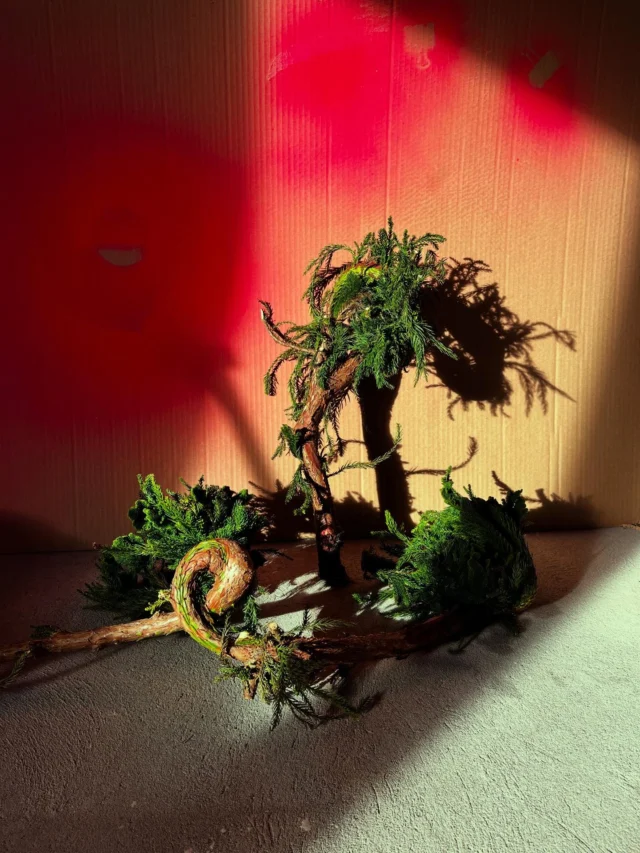 Instagram post 17988097958876090