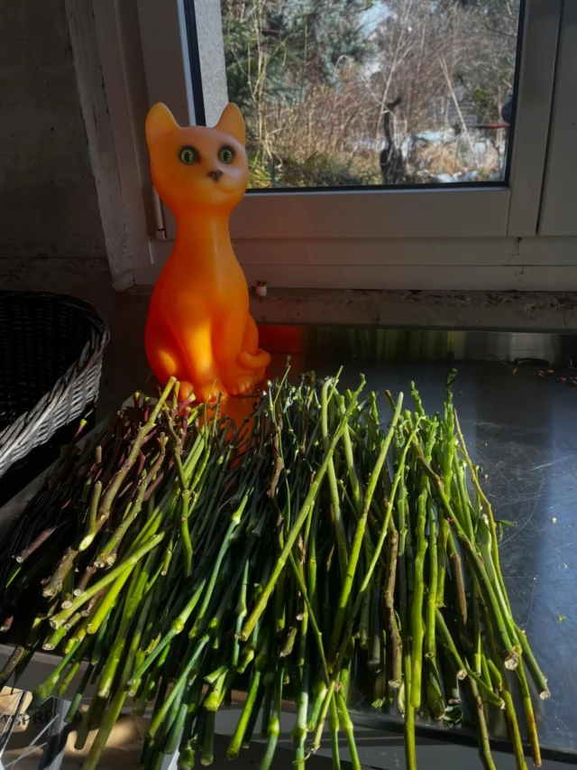 Il était une fois…
#blumenfürdiekunst 
#upcycling 
#kunstliebe 
#…